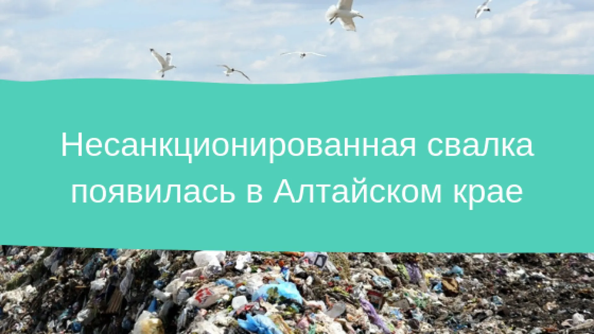 Несанкционированная свалка появилась в Алтайском крае