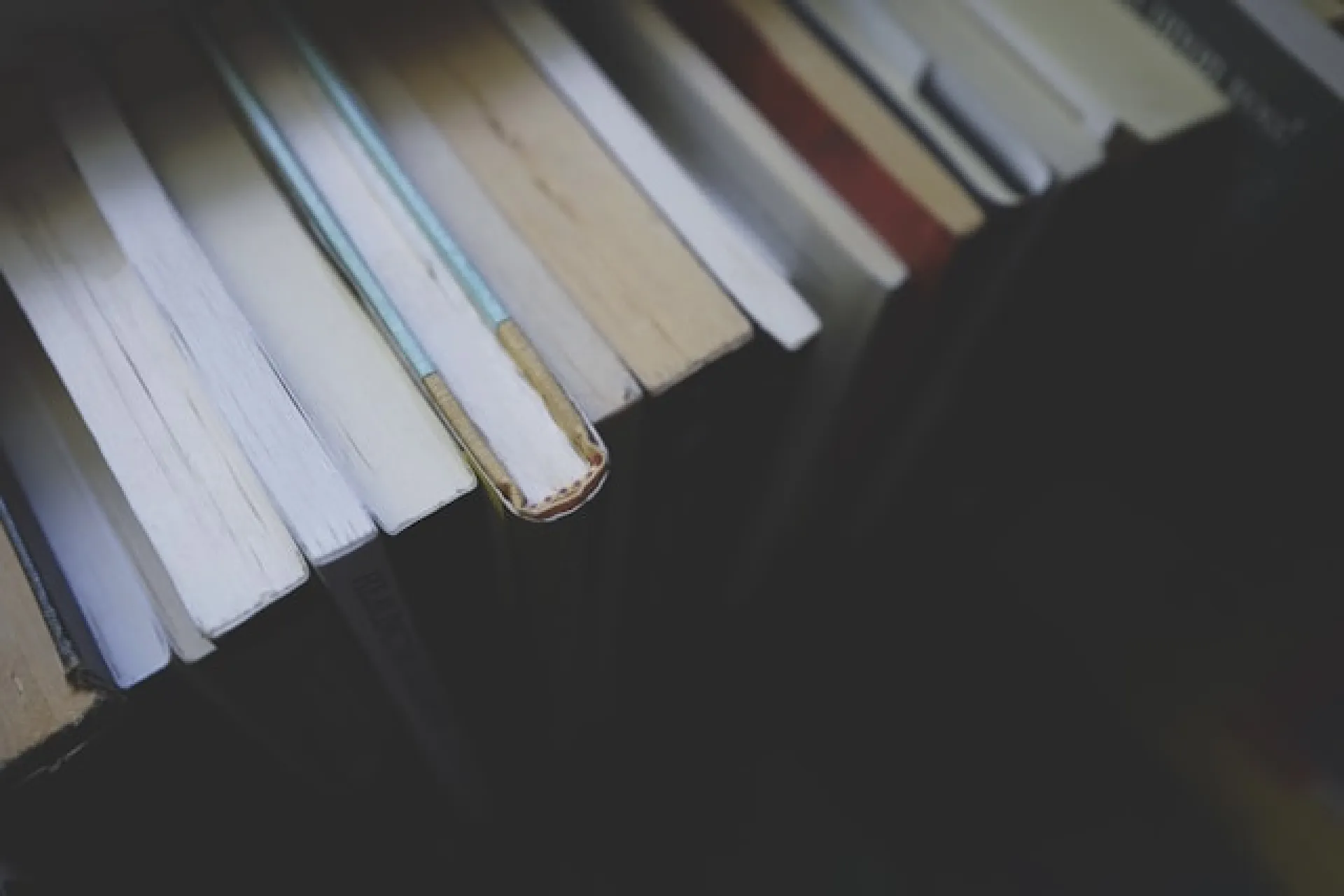 Самые популярные книги алтайской молодёжи назвали в «Шишковке» Самые популярные книги алтайской молодёжи назвали в «Шишковке»