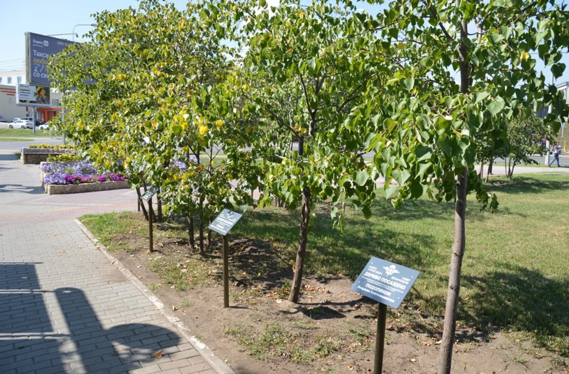 Памятные таблички установили в сквере Десантников в Барнауле
