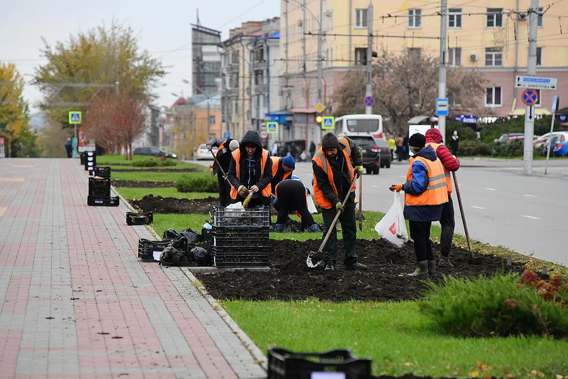 75 тысяч тюльпанов высадят на улицах Барнаула. Они расцветут весной 75 тысяч тюльпанов высадят на улицах Барнаула. Они расцветут весной
