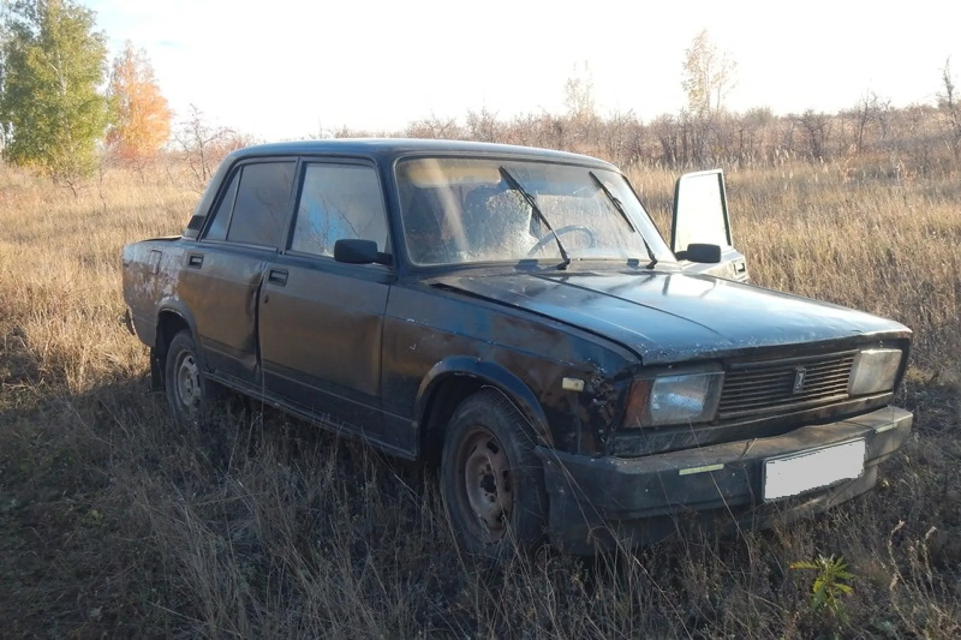 Сводные братья похитили один автомобиль и разобрали второй, чтобы починить свою машину в Славгороде 