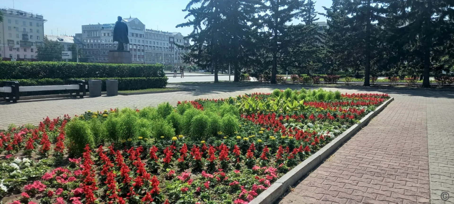 Более 260 тысяч корней однолетних растений высадили в Барнауле Более 260 тысяч корней однолетних растений высадили в Барнауле