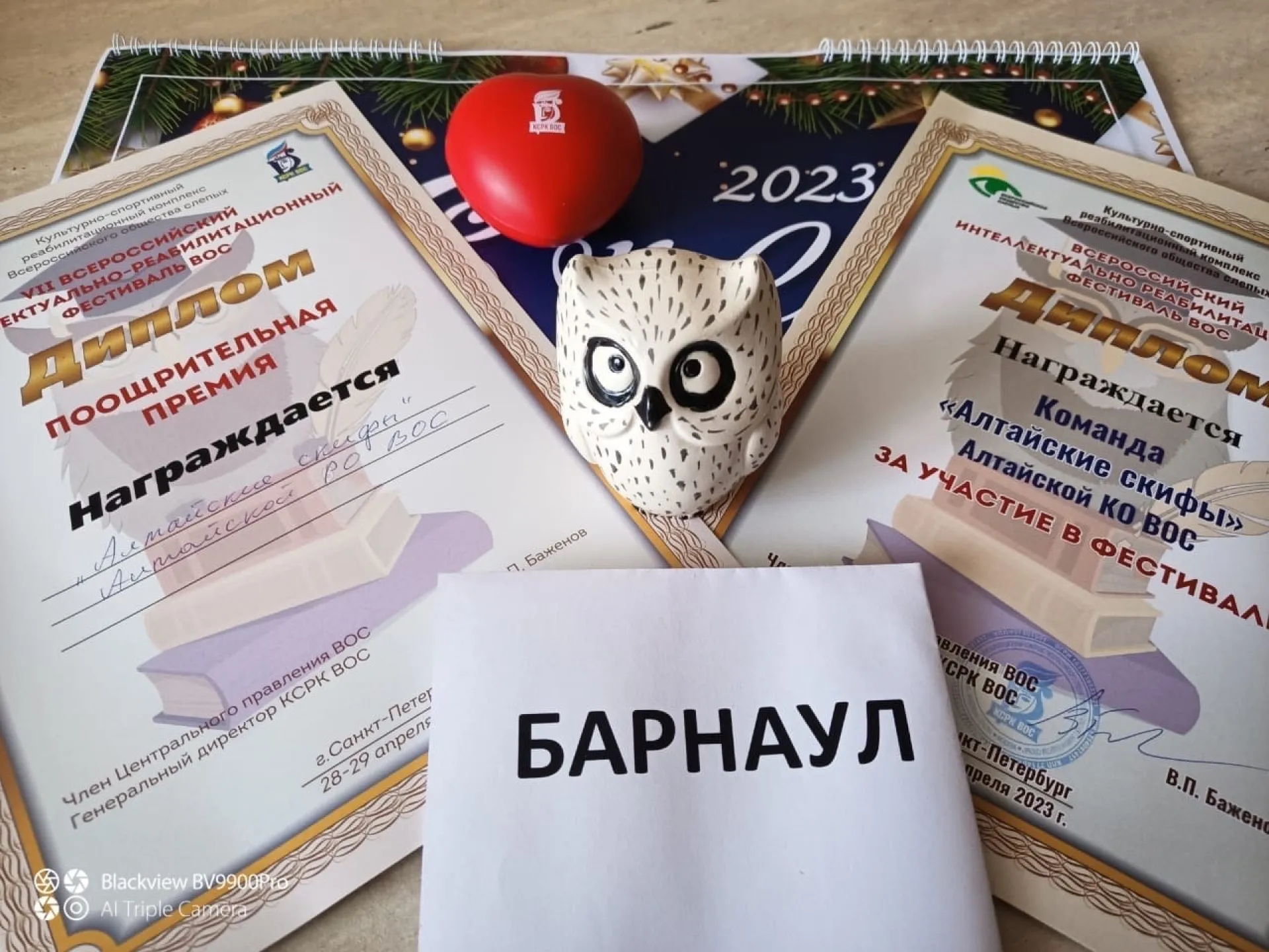 «Алтайские скифы» впервые приняли участие во Всероссийском интеллектуально - реабилитационном фестивале ВОС