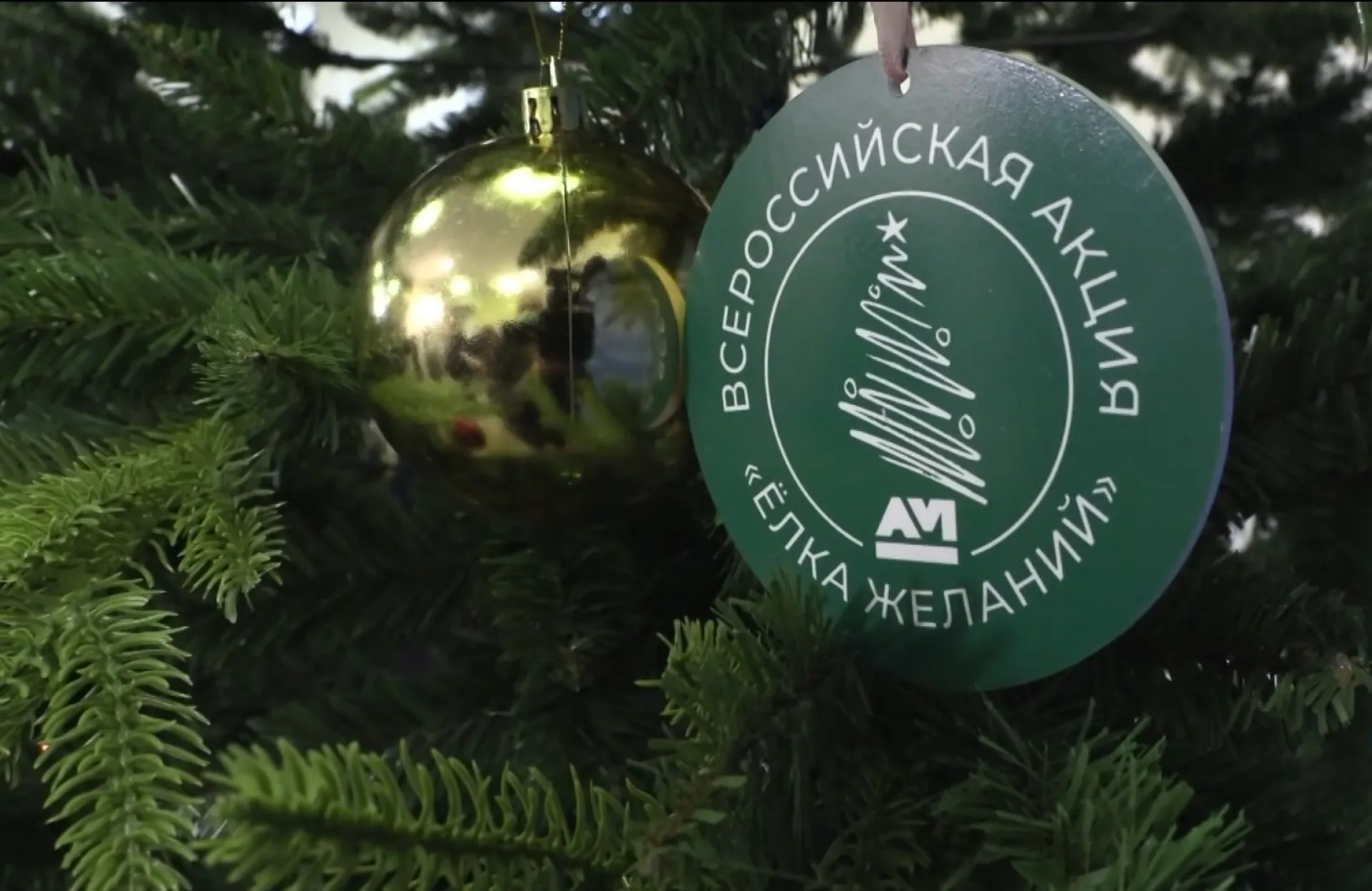 Губернатор Алтайского края принял участие в акции «Ёлка желаний» 
