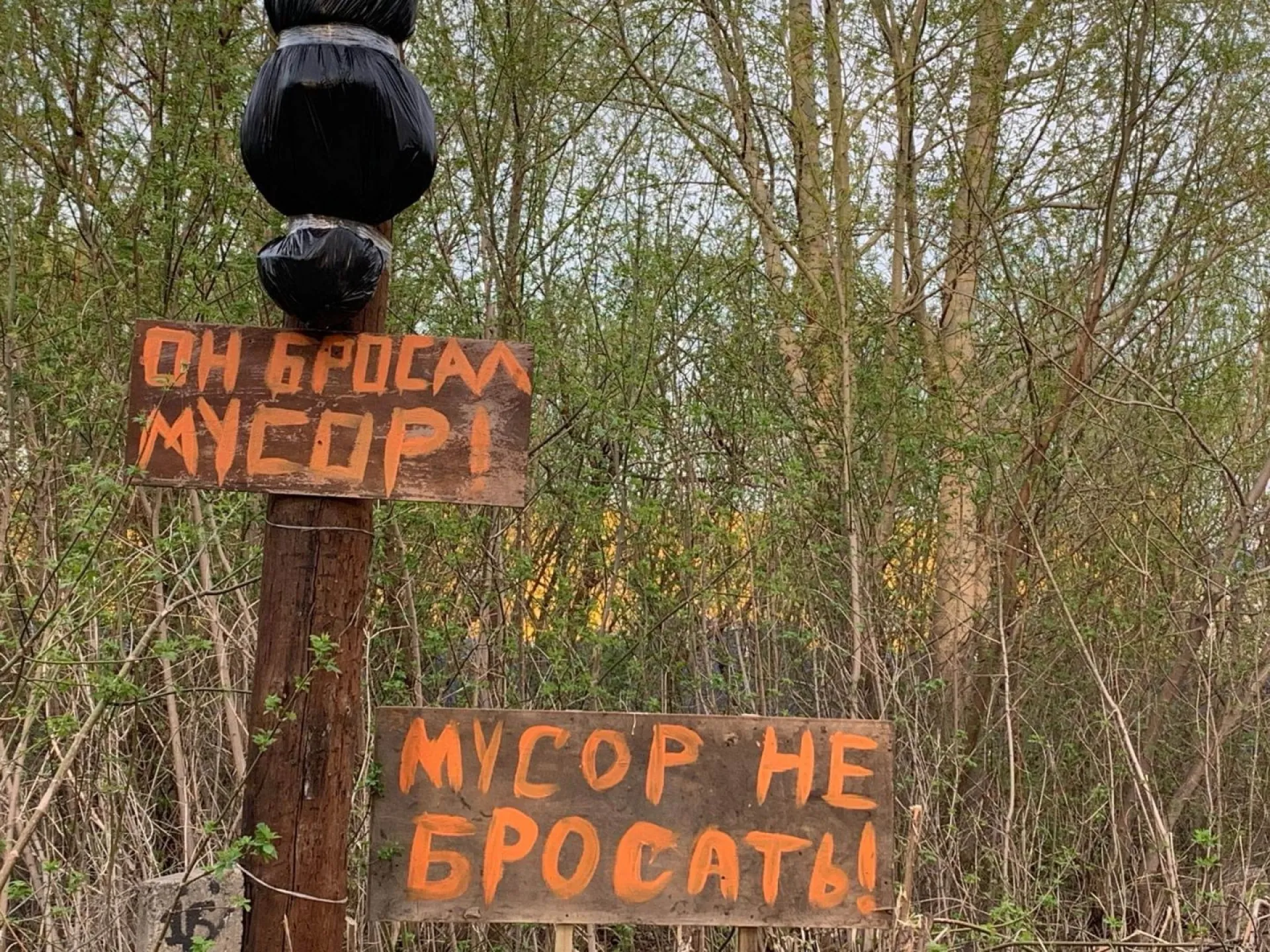Пугающий арт-объект появился в Бийске