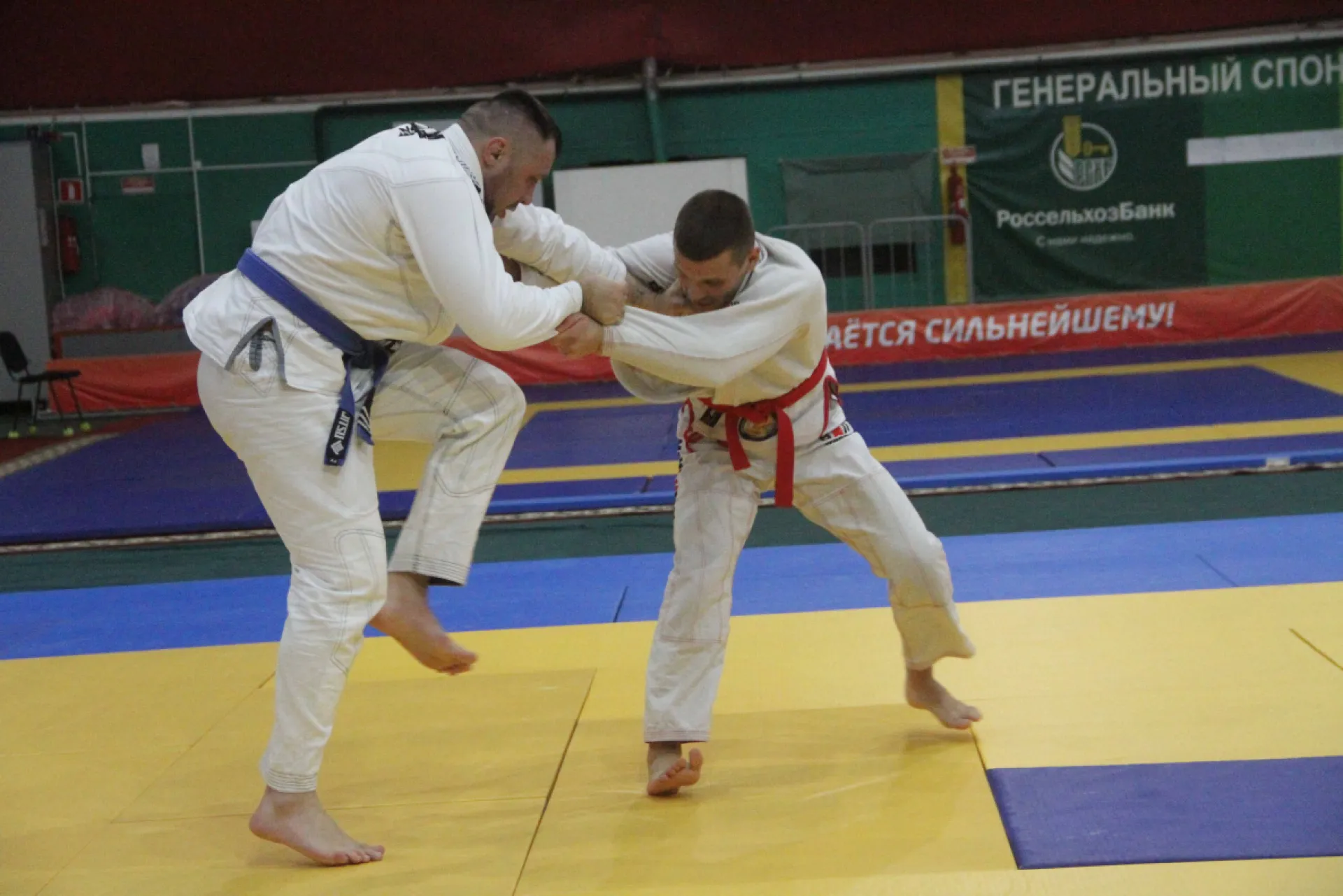 Чемпионат СФО по джиу-джитсу прошёл в Барнауле