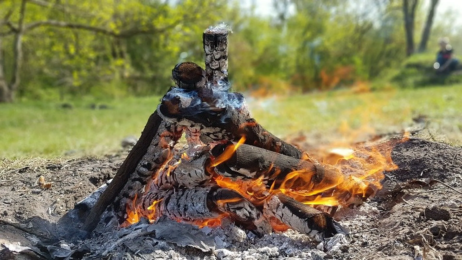 Ограничение на въезд и вход в лес продолжает действовать в Алтайском крае
