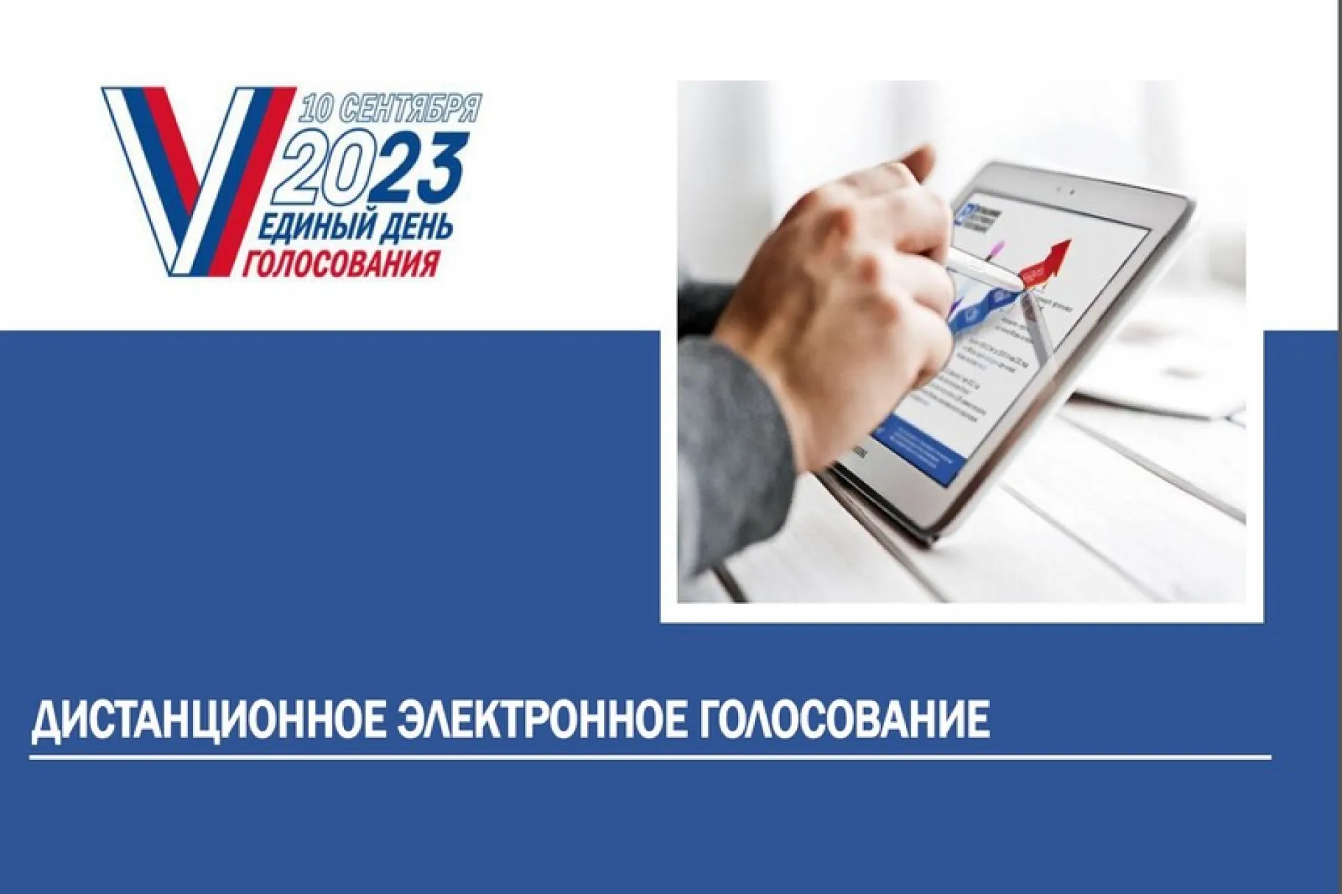 Прием заявлений для участия в дистанционном электронном голосовании начался в Алтайском крае