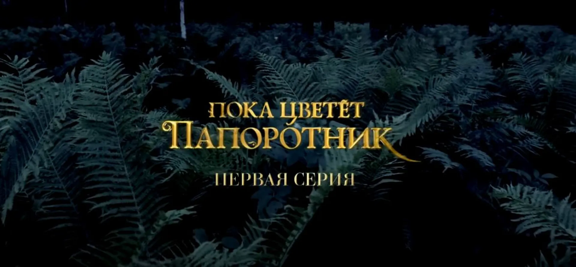 Сериалу «Пока цветет папоротник», большую часть которого снимали на Алтае, исполнилось 10 лет Сериалу «Пока цветет папоротник», большую часть которого снимали на Алтае, исполнилось 10 лет