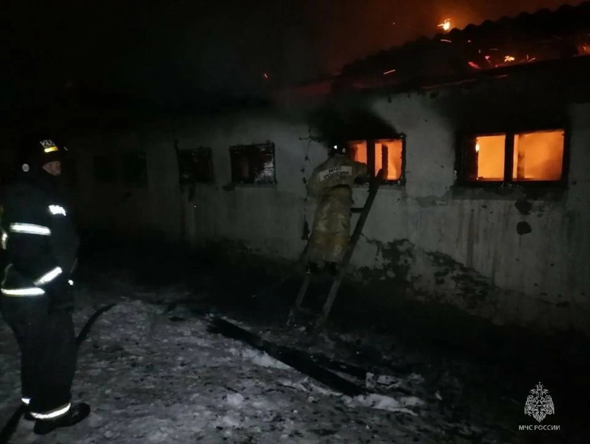 6 лошадей и 17 коров спасли на пожаре в Косихинском районе