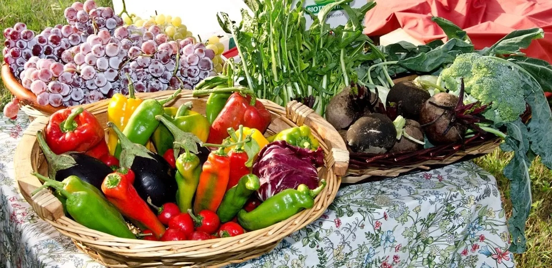 Продуктовые ярмарки прошли в пригороде Барнаула Продуктовые ярмарки прошли в пригороде Барнаула