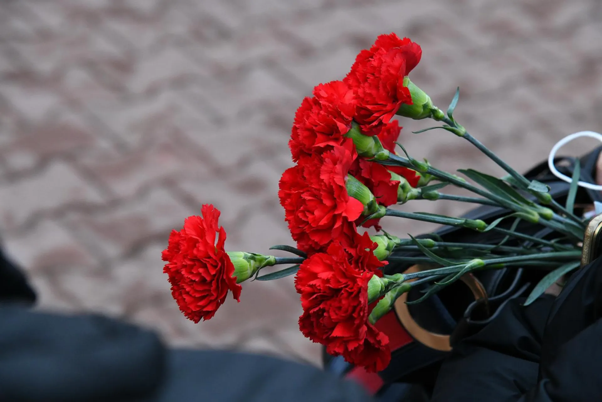 В Барнауле прошла церемония передачи останков воинов, погибших в годы Великой Отечественной войны В Барнауле прошла церемония передачи останков воинов, погибших в годы Великой Отечественной войны
