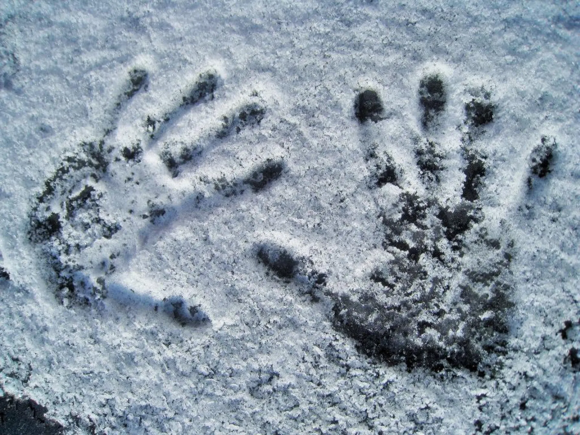 16-летний подросток насмерть замёрз в Заринском районе
