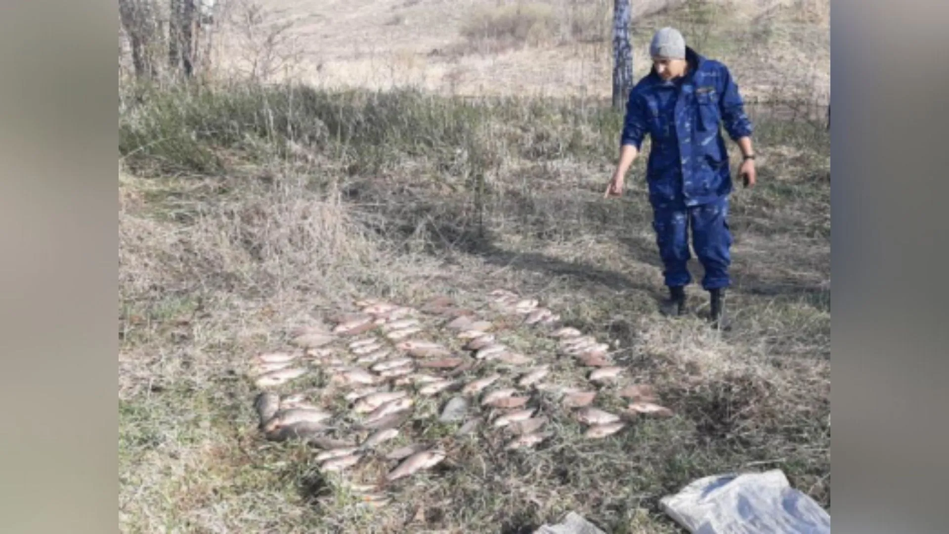 Полицейские задержали браконьера, который выловил около ста рыб в Алтайском крае