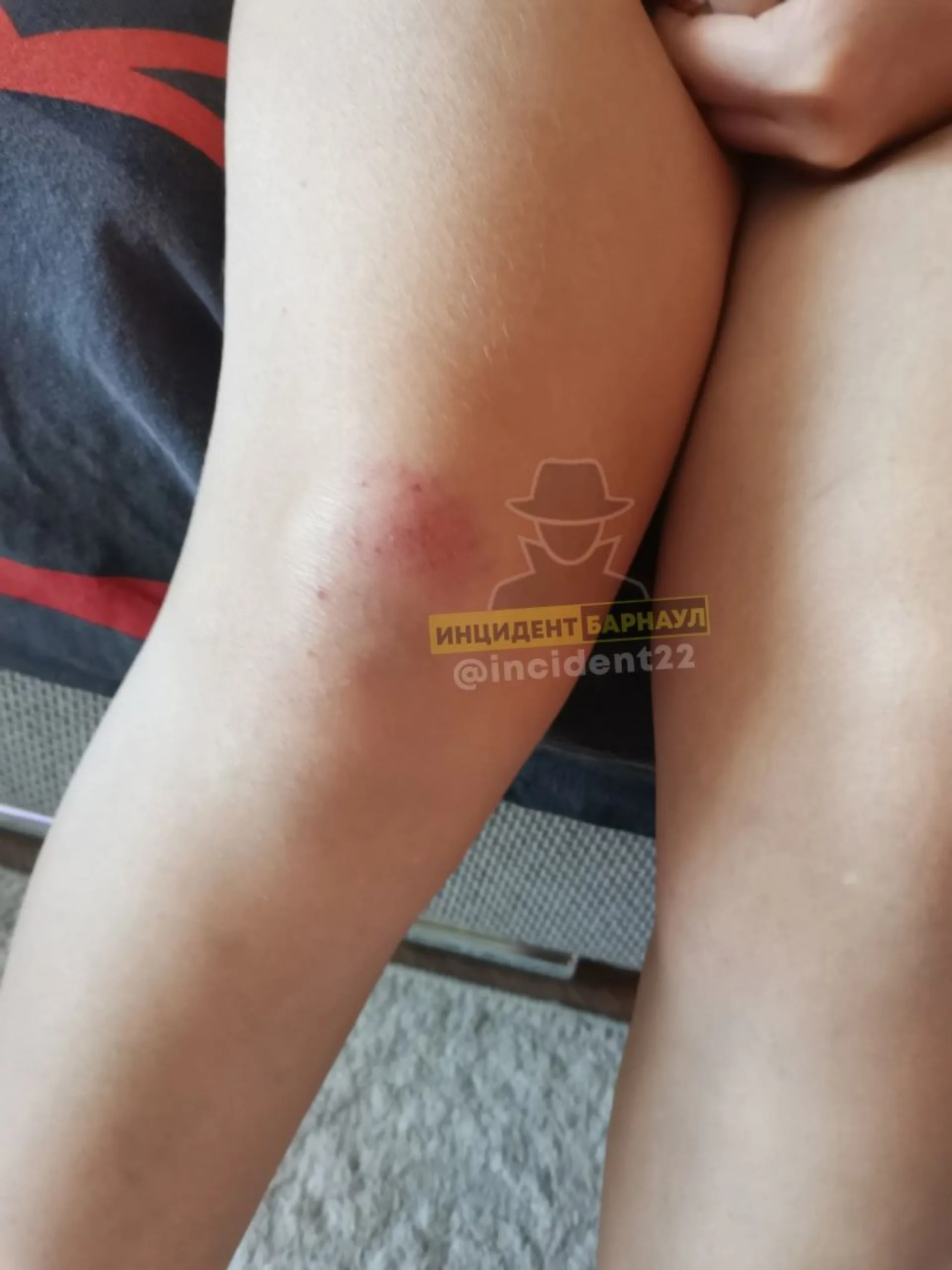 Барнаульцы поплатились за громкую музыку ночью