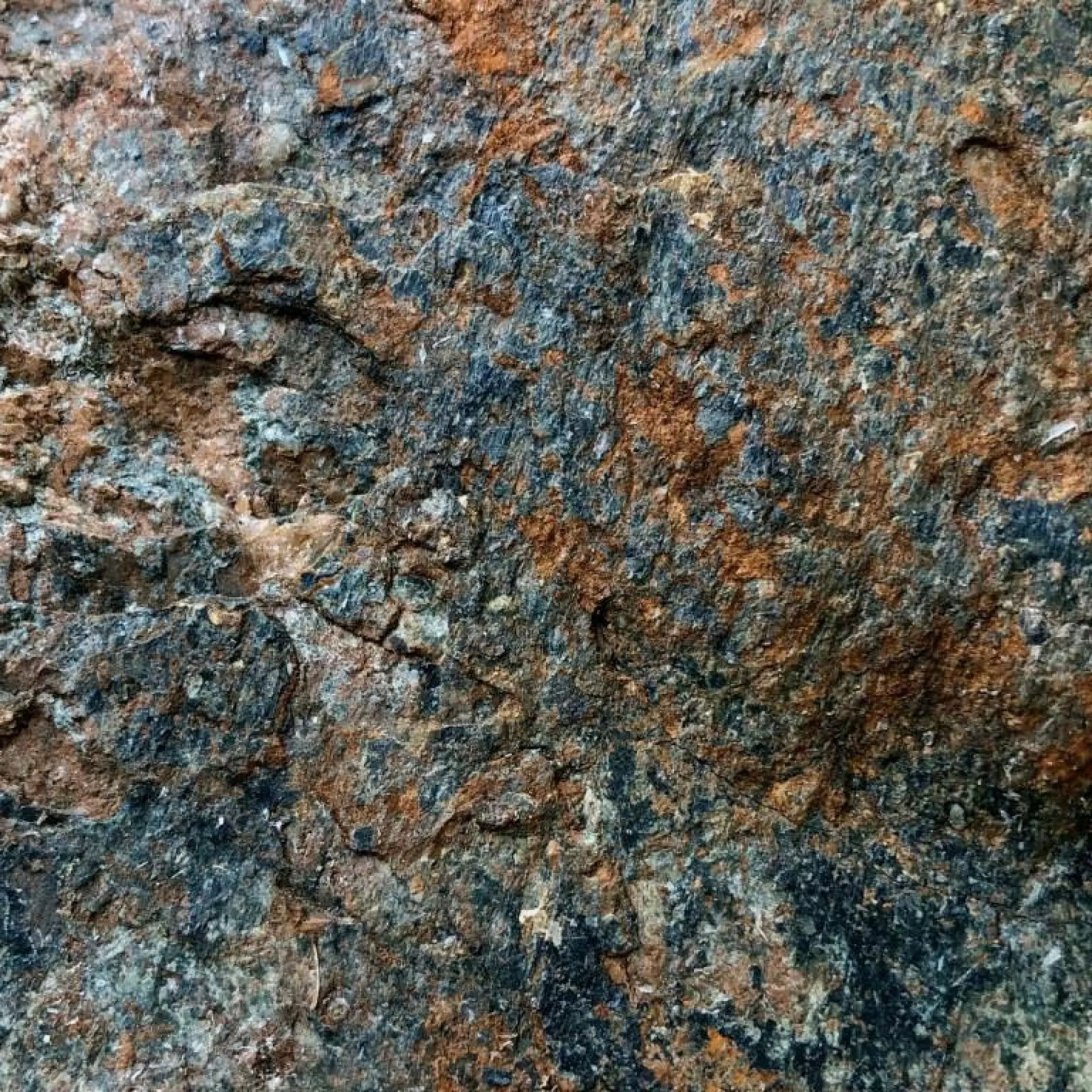 Испанец облил водой наскальную живопись возрастом 6000 лет, чтобы она стала ярче Испанец облил водой наскальную живопись возрастом 6000 лет, чтобы она стала ярче