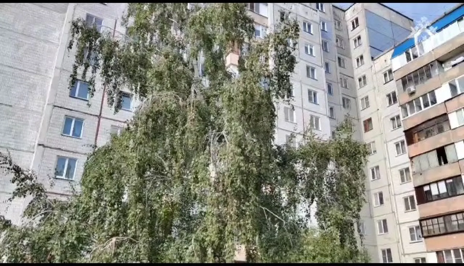Жительница Барнаула убила своих малолетних детей и покончила с собой