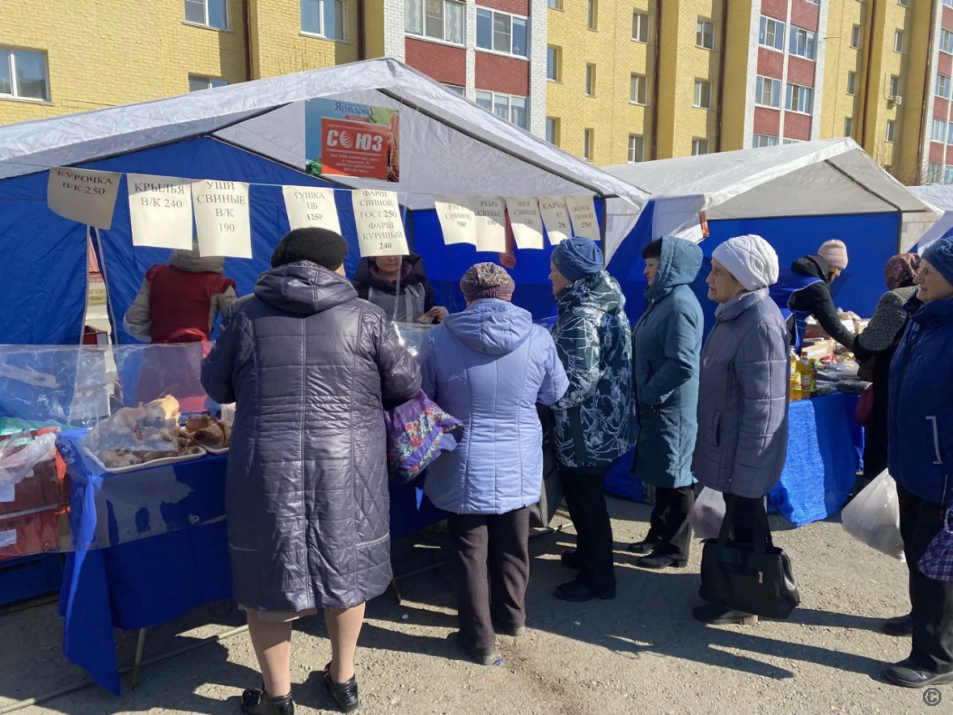 Продовольственные ярмарки проведут в Барнауле