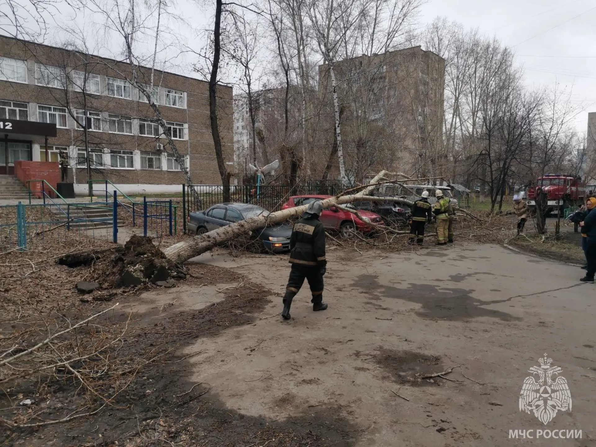 В Алтайском крае два человека получили травмы при сильном ветре В Алтайском крае два человека получили травмы при сильном ветре