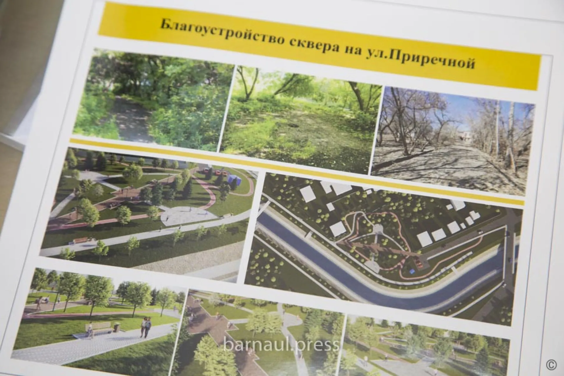 В мэрии Барнаула показали, как будет выглядеть сквер на улице Приречной В мэрии Барнаула показали, как будет выглядеть сквер на улице Приречной