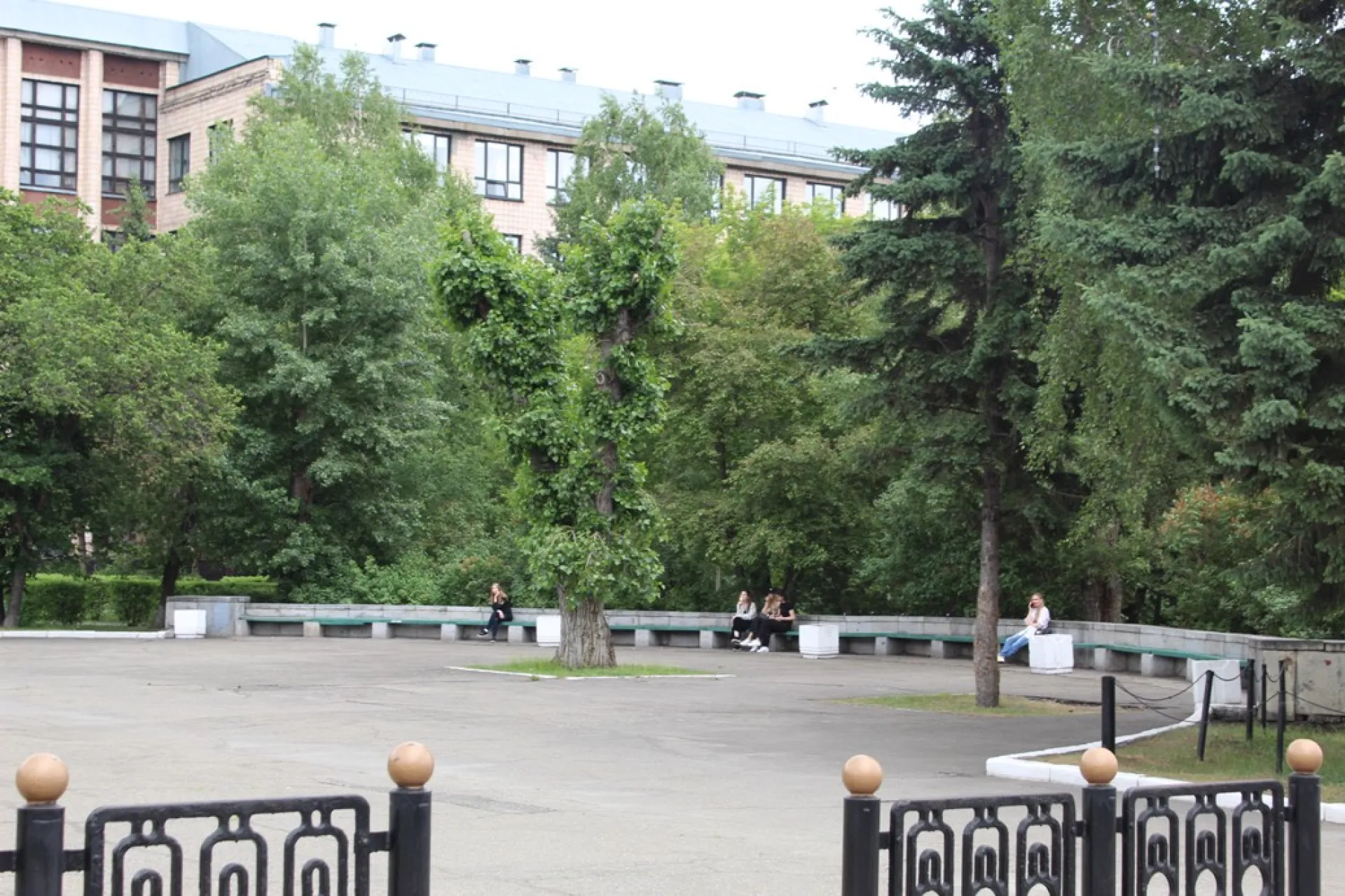 Барнаул попал в топ самых зелёных городов России Барнаул попал в топ самых зелёных городов России