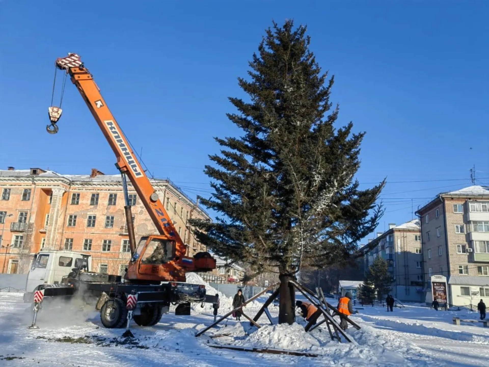 Главную городскую елку установили в Рубцовске Главную городскую елку установили в Рубцовске