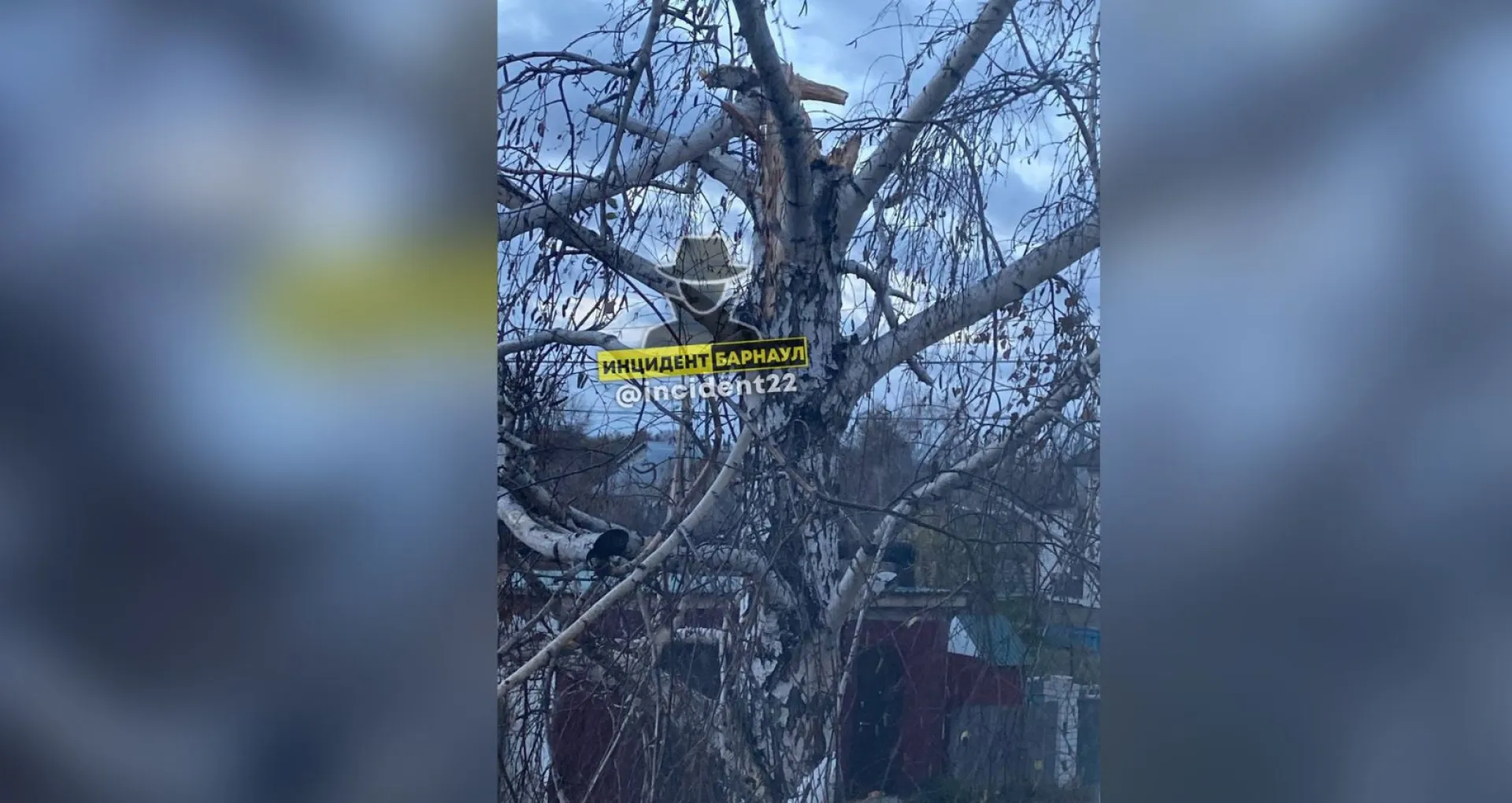 Последствия ураганного ветра устраняют в Барнауле Последствия ураганного ветра устраняют в Барнауле