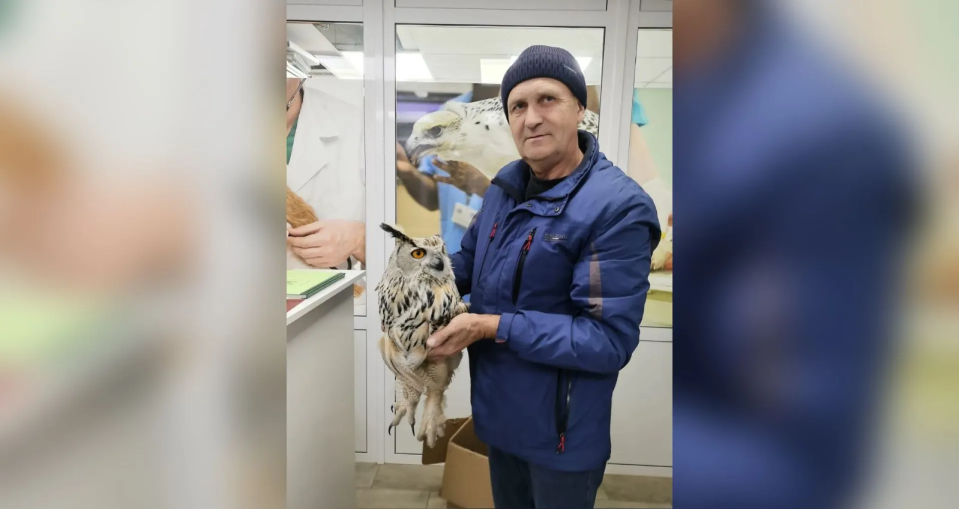 Краснокнижного филина спасли в Алтайском крае