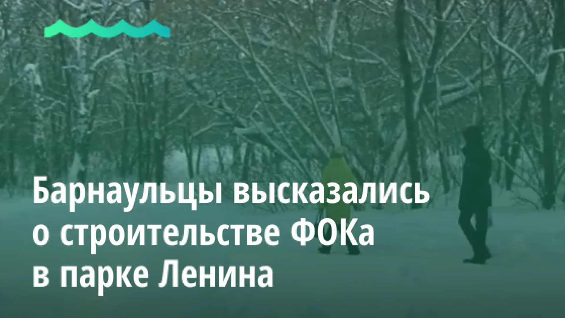 Барнаульцы высказались о строительстве ФОКа в парке Ленина