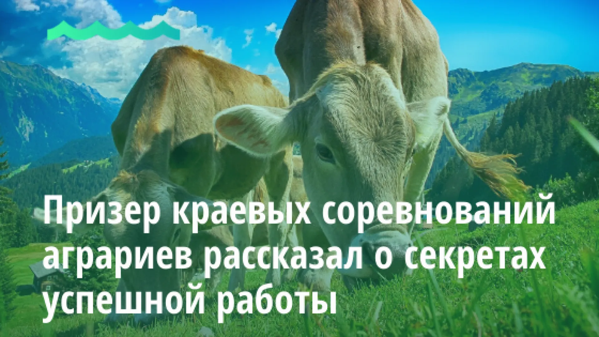 Призер краевых соревнований аграриев рассказал о секретах успешной работы