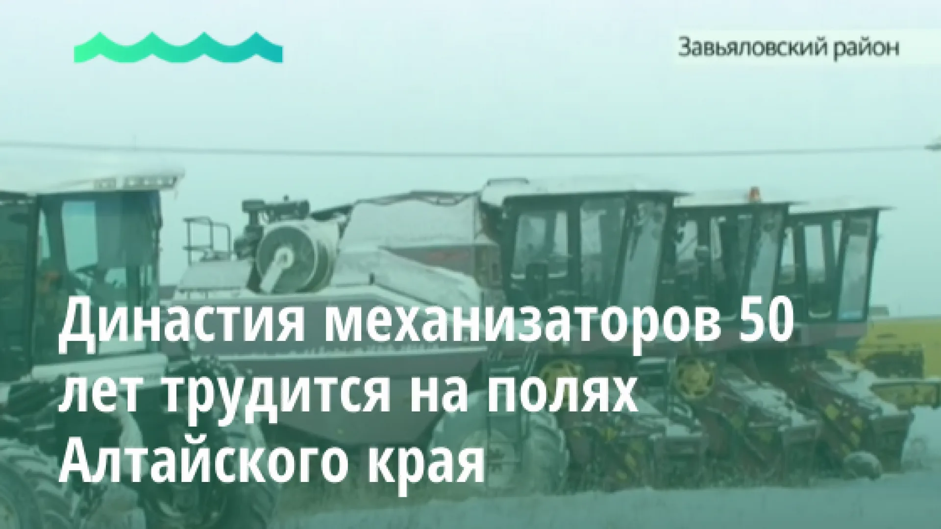 Видео: династия механизаторов 50 лет трудится на полях Алтайского края Видео: династия механизаторов 50 лет трудится на полях Алтайского края