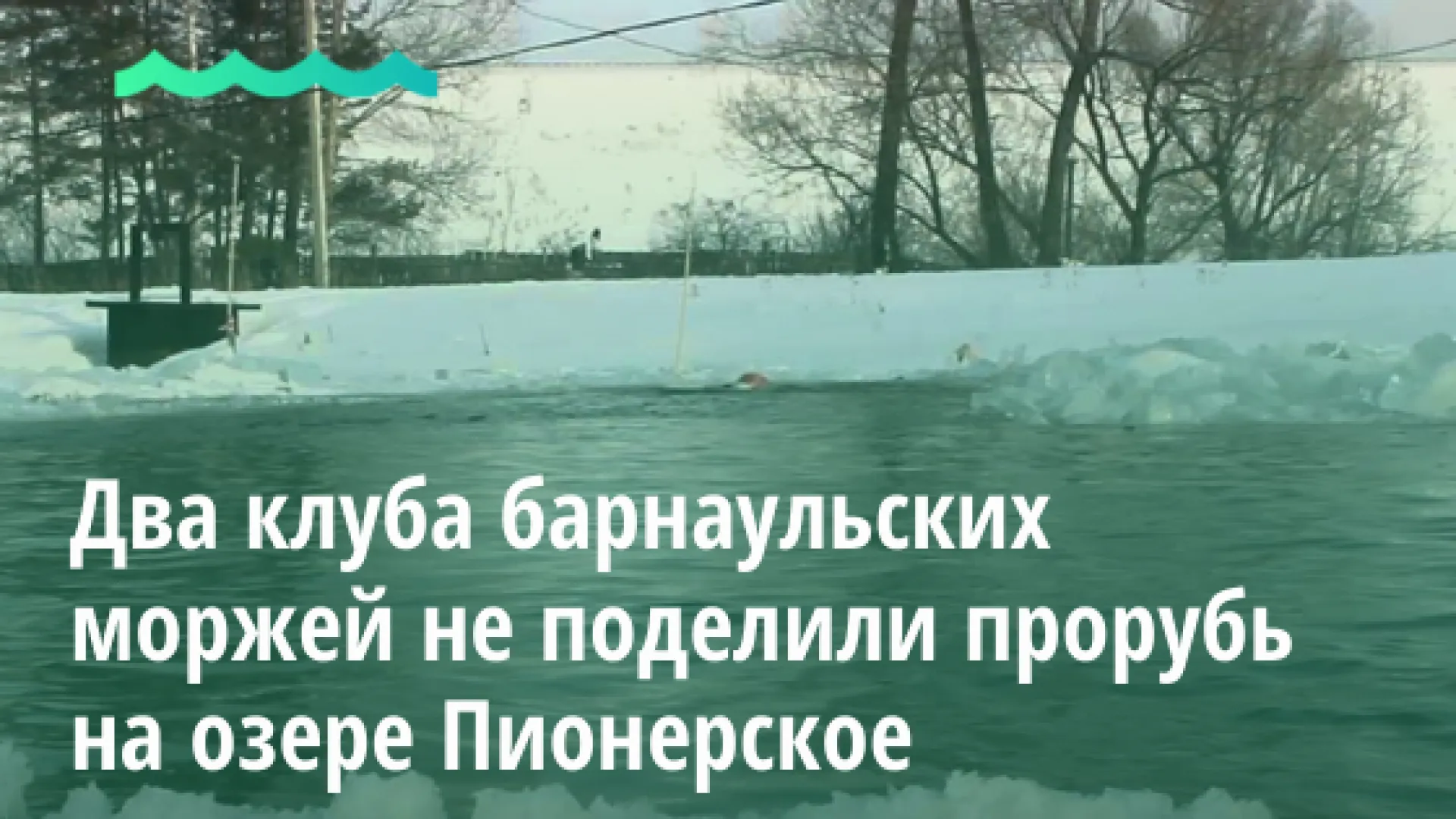 Стало известно, из-за чего два клуба барнаульских моржей не поделили прорубь на озере Пионерском