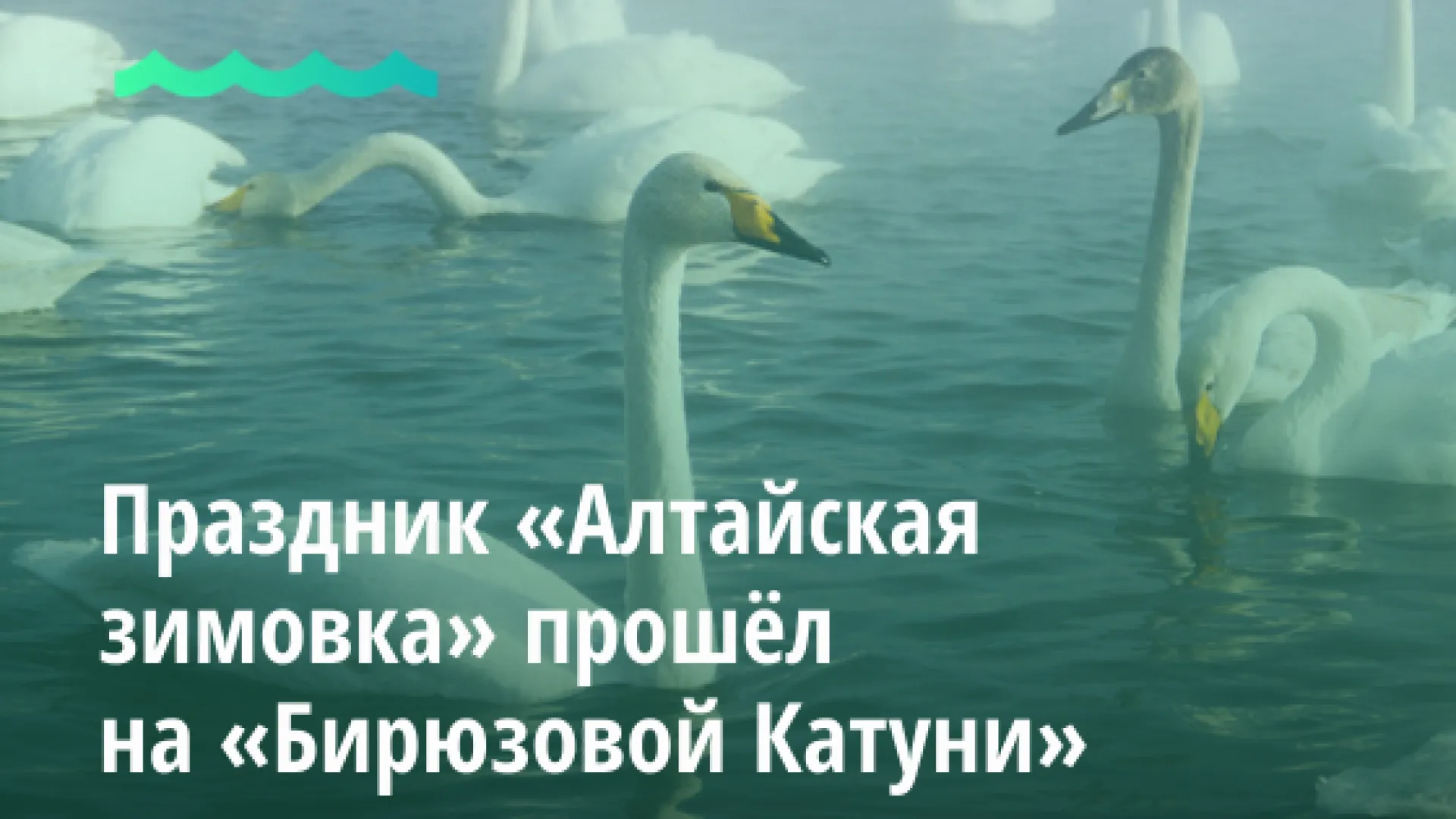 Праздник «Алтайская зимовка» прошёл на «Бирюзовой Катуни» Праздник «Алтайская зимовка» прошёл на «Бирюзовой Катуни»