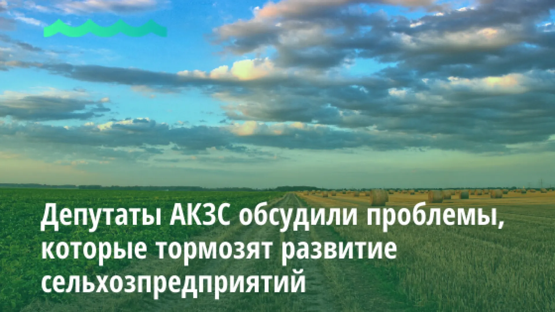 Депутаты АКЗС обсудили проблемы, которые тормозят развитие сельхозпредприятий