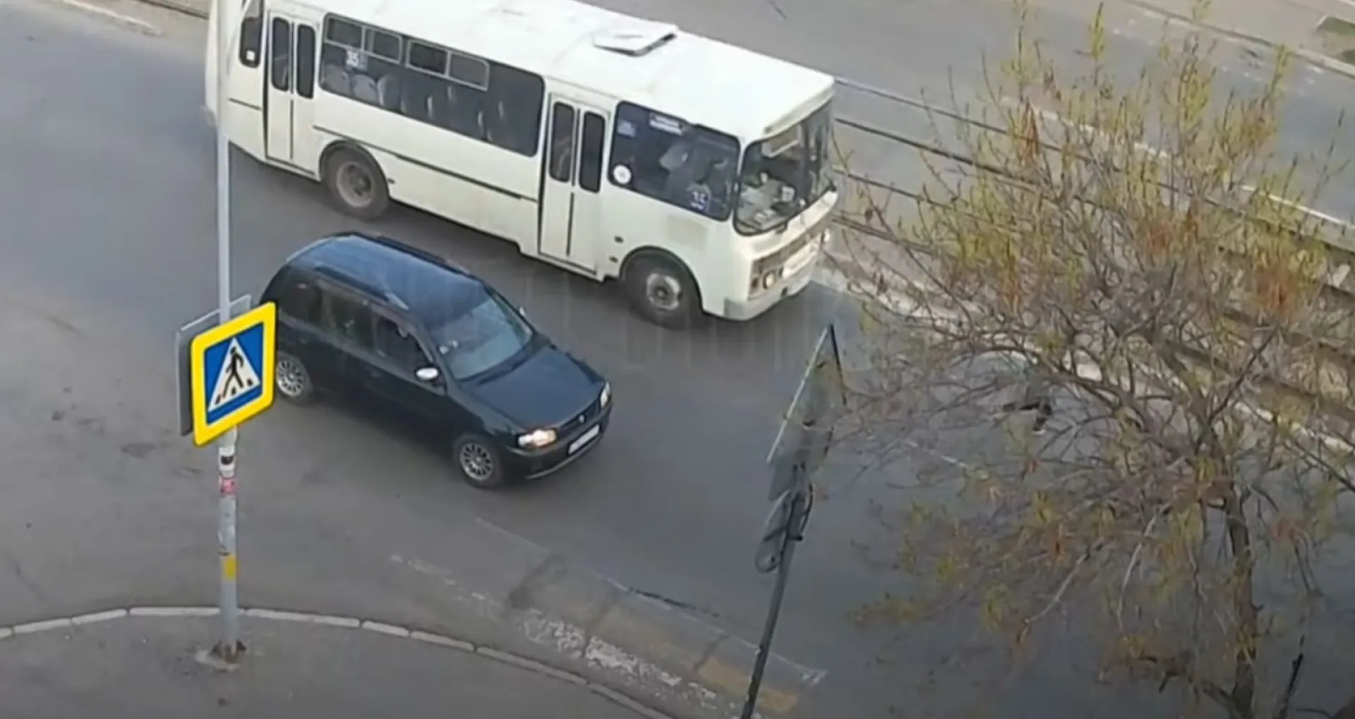 В Бийске автобус сбил девочку на пешеходном переходе