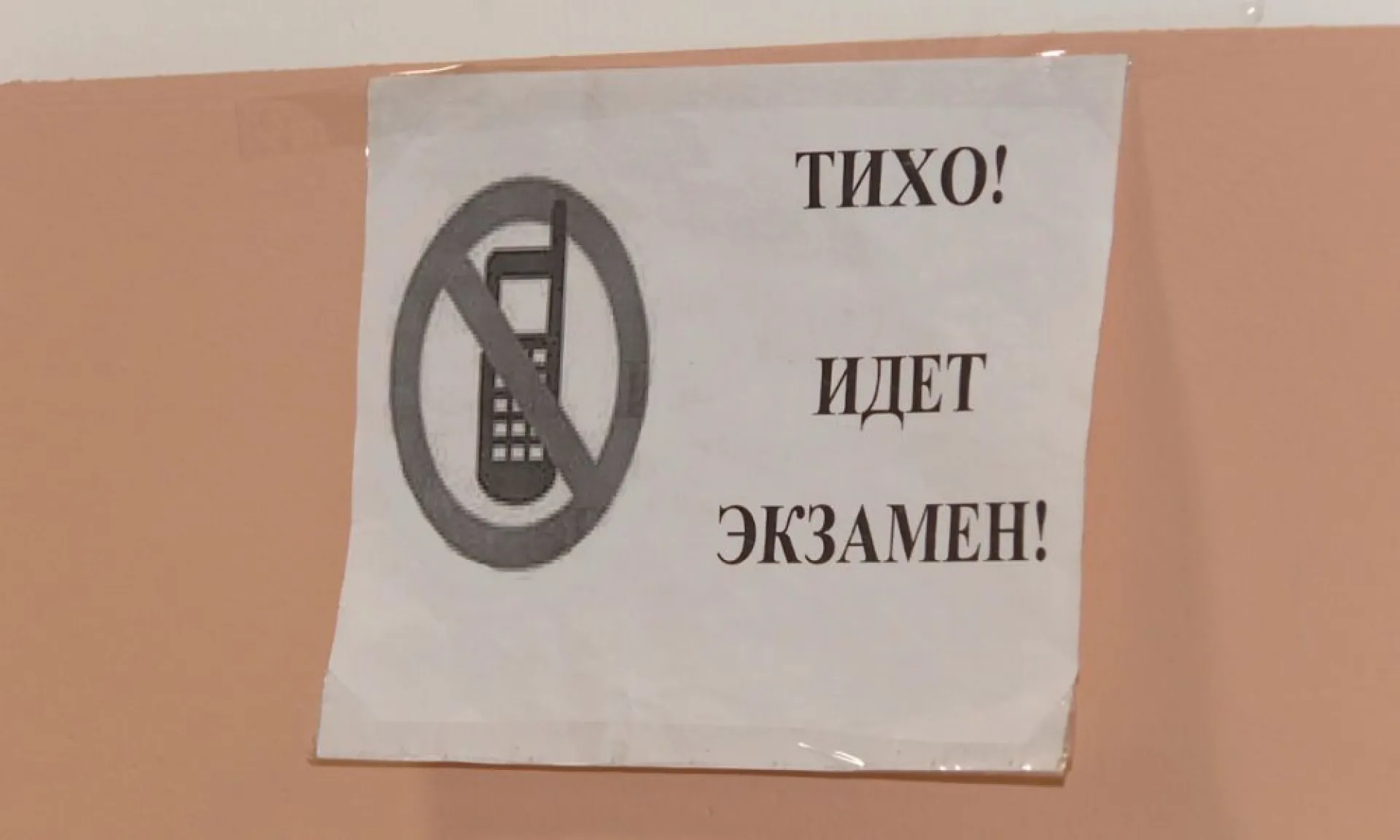 В Алтайском крае стали известны первые стобалльники по итогам ЕГЭ В Алтайском крае стали известны первые стобалльники по итогам ЕГЭ