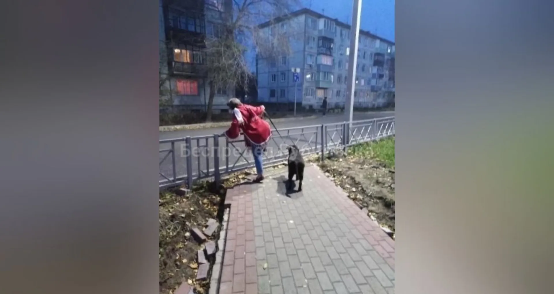 Рубцовчане возмутились забором, перегородившим пешеходные дорожки Рубцовчане возмутились забором, перегородившим пешеходные дорожки