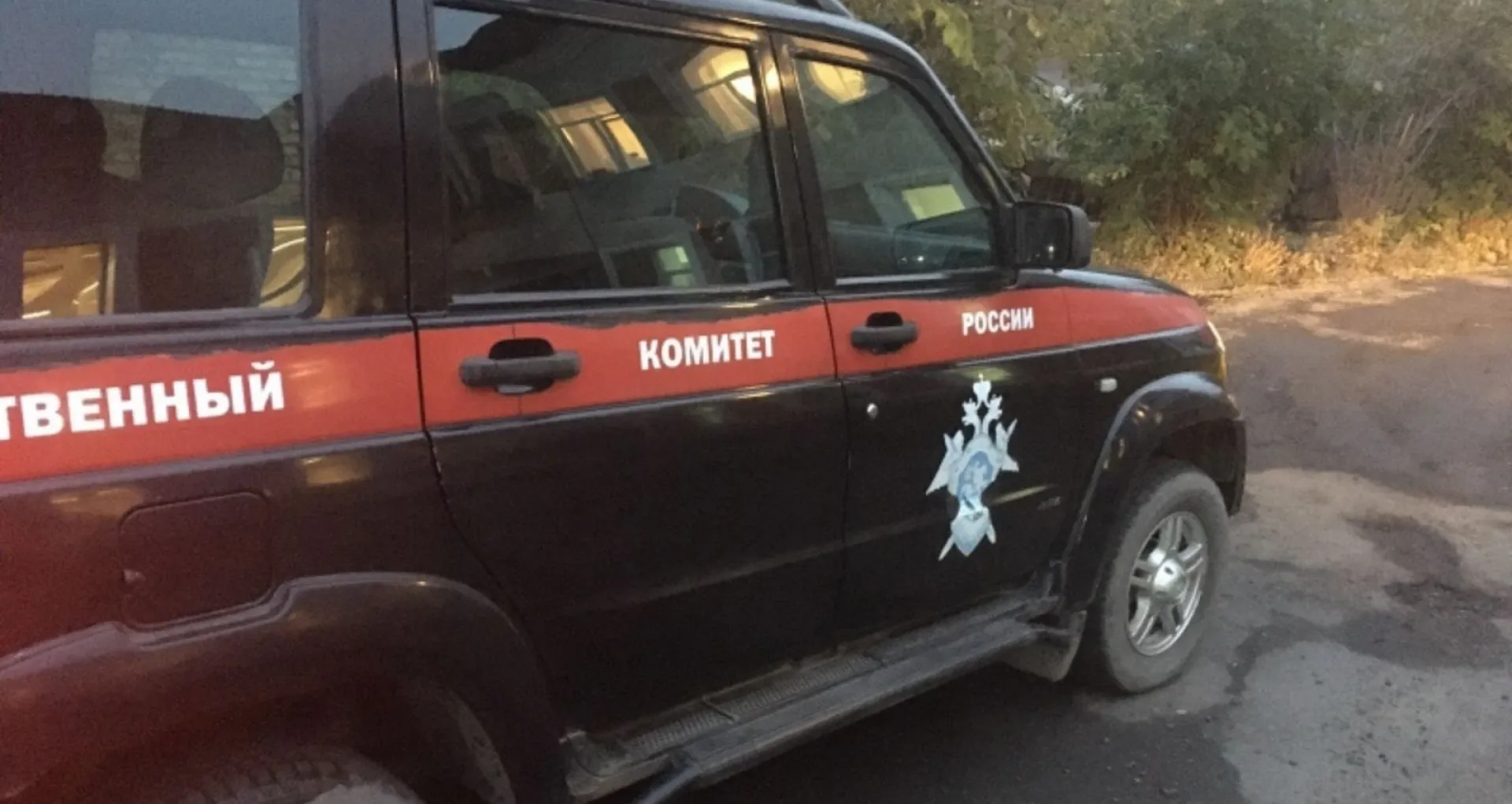 Житель Алтайского края пойдёт под суд за изнасилование падчерицы