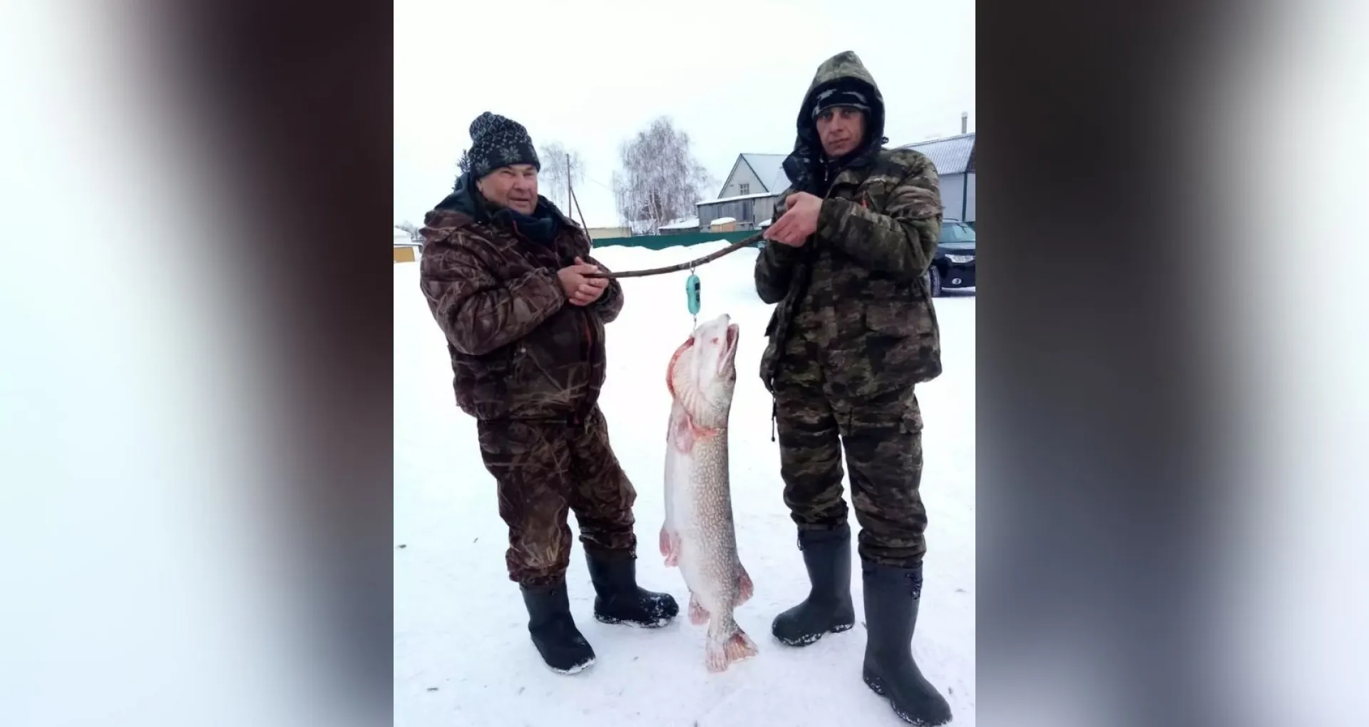 Рыболовы поймали трофейную щуку в Алтайском крае