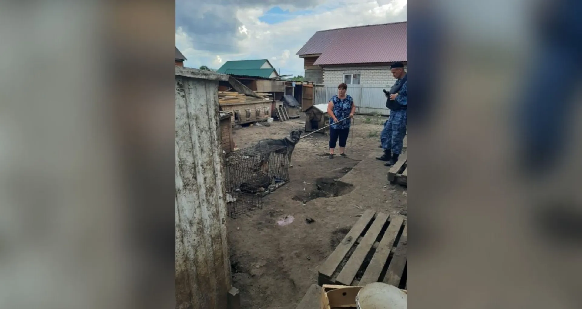 Алтайские приставы вывезли десятки собак из частного дома в приют для животных Алтайские приставы вывезли десятки собак из частного дома в приют для животных