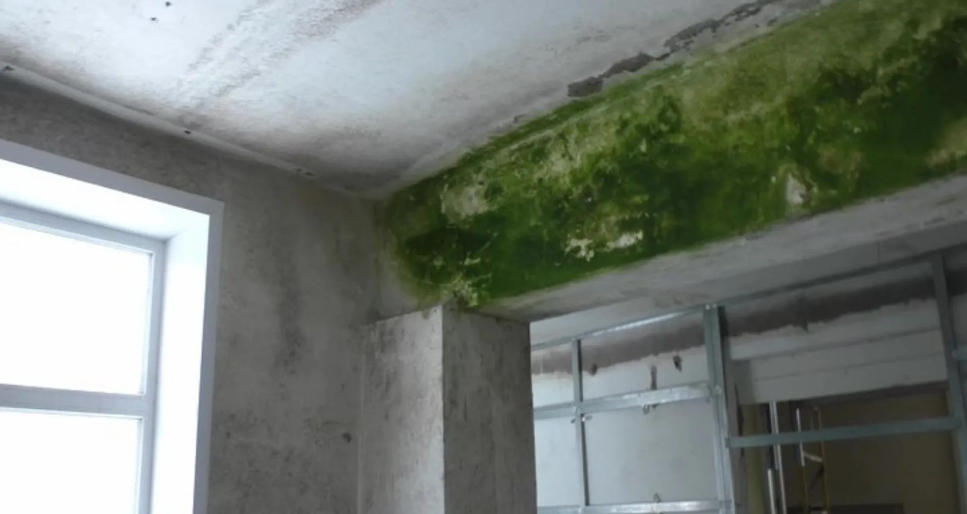 «Просто ужас»: жители села в Алтайском крае жалуются на некачественный ремонт школы