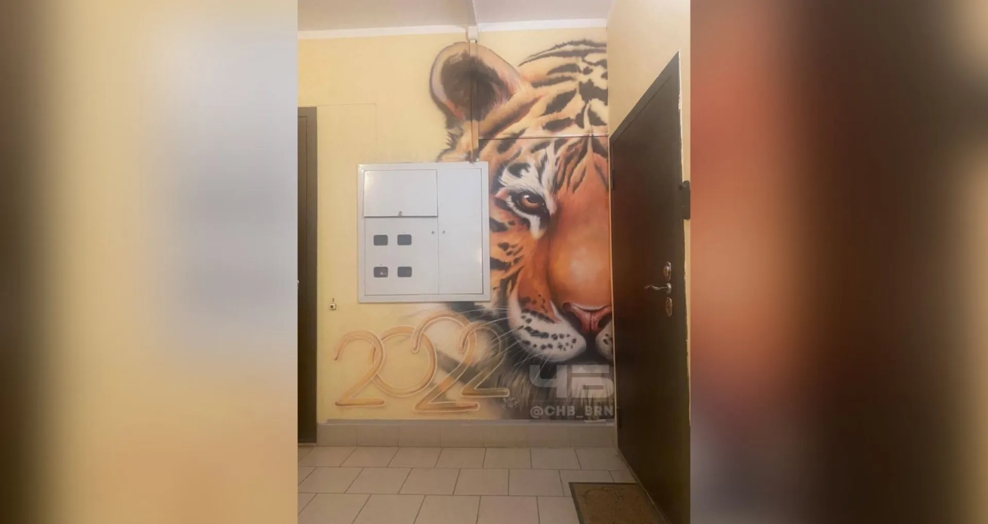 Барнаулец нарисовал тигра в подъезде в честь Нового года Барнаулец нарисовал тигра в подъезде в честь Нового года