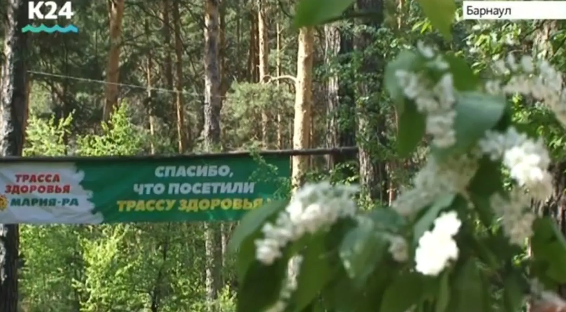 День ходьбы пройдёт на барнаульской «Трассе здоровья»