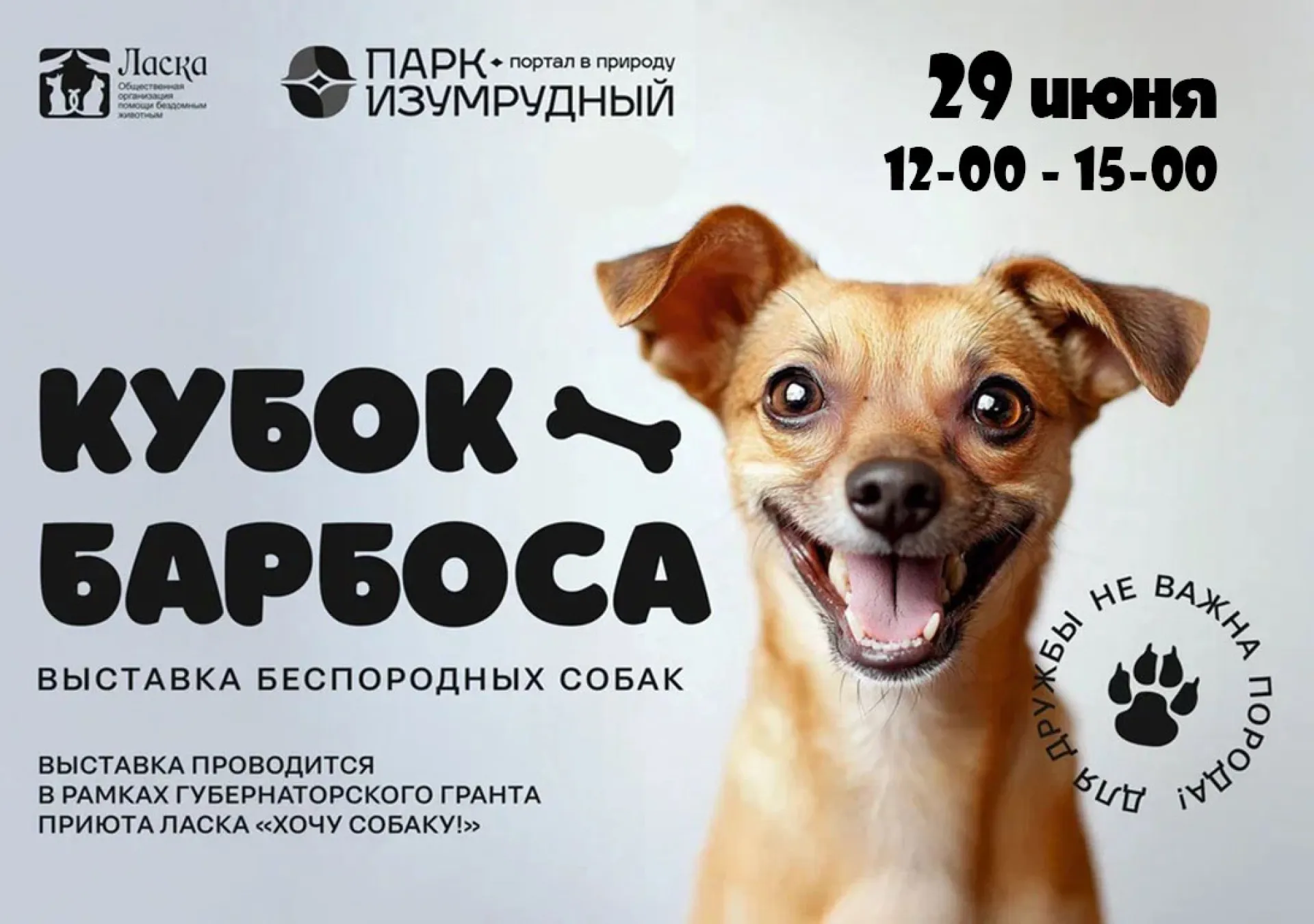 Беспородных собак покажут на ринге в парке «Изумрудный» Беспородных собак покажут на ринге в парке «Изумрудный»