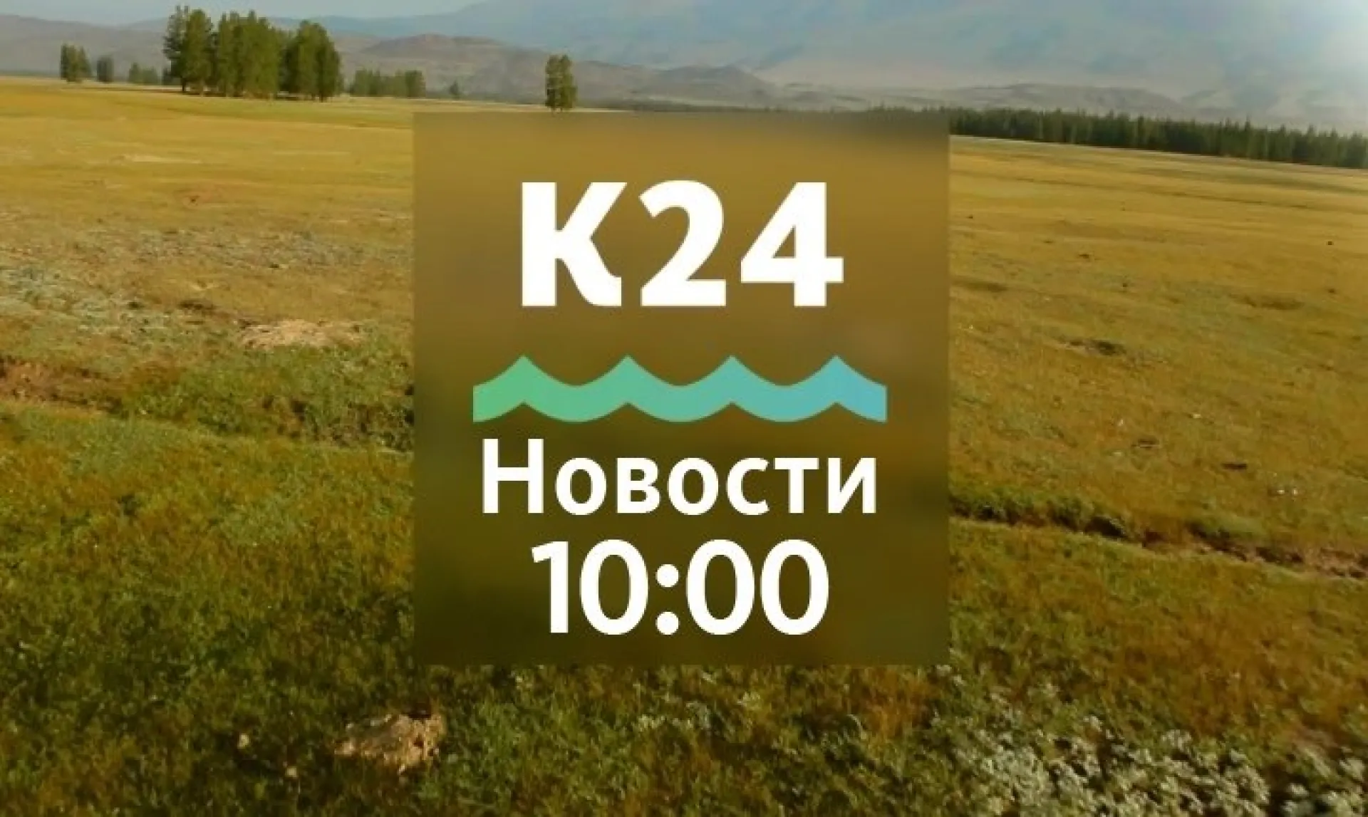 Почти 500 дополнительных бюджетных мест появится в вузах Алтайского края и другие темы в выпуске новостей в 10:00