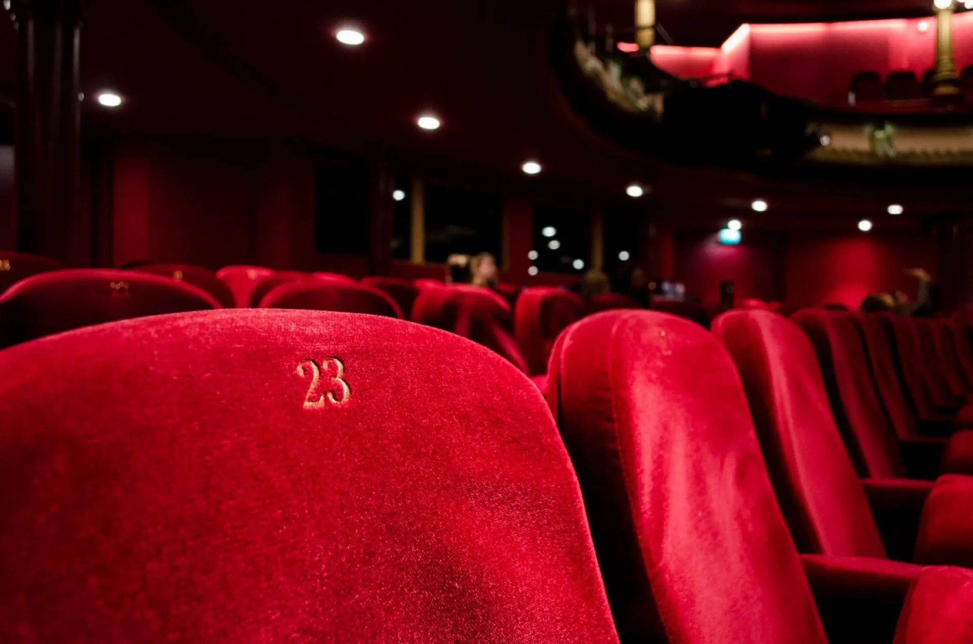 Фильмы Шукшинского кинофестиваля бесплатно покажут в барнаульских кинотеатрах Фильмы Шукшинского кинофестиваля бесплатно покажут в барнаульских кинотеатрах