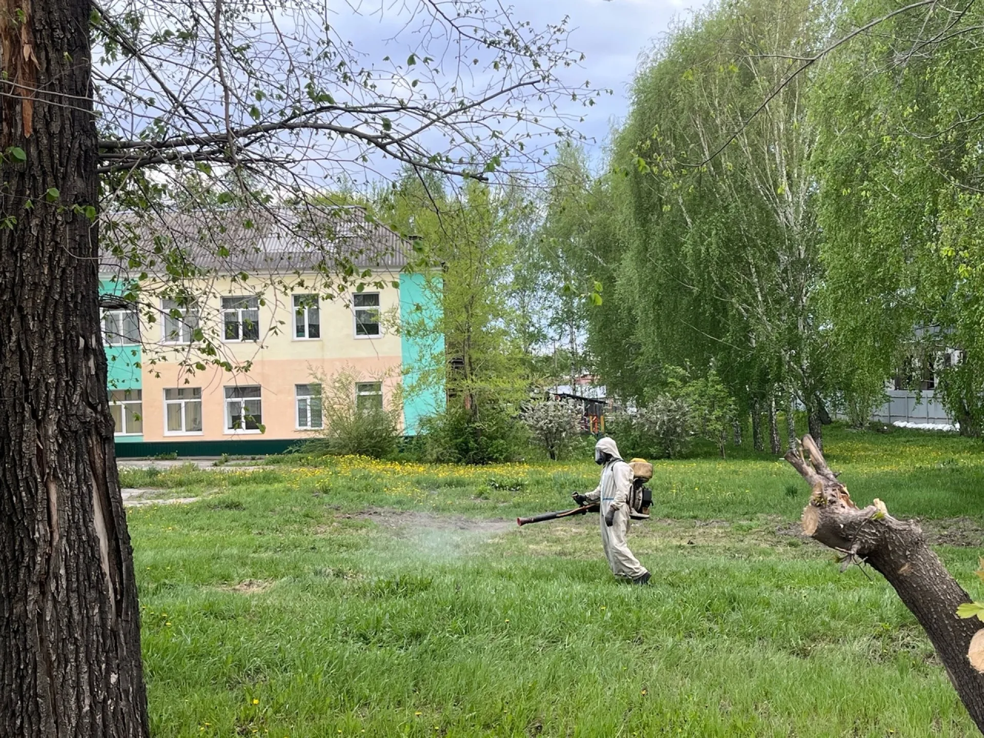 Барнаул начали обрабатывать от комаров Барнаул начали обрабатывать от комаров