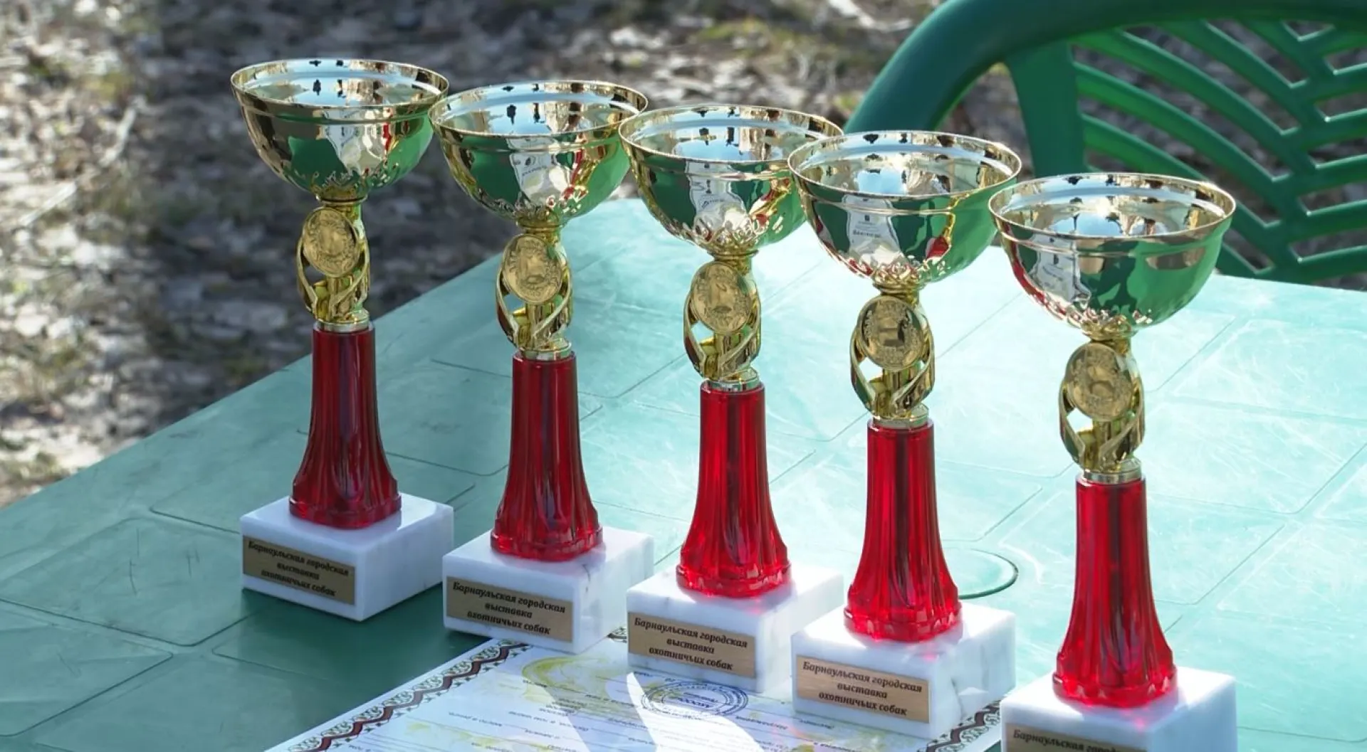 В Барнауле прошла выставка охотничьих собак