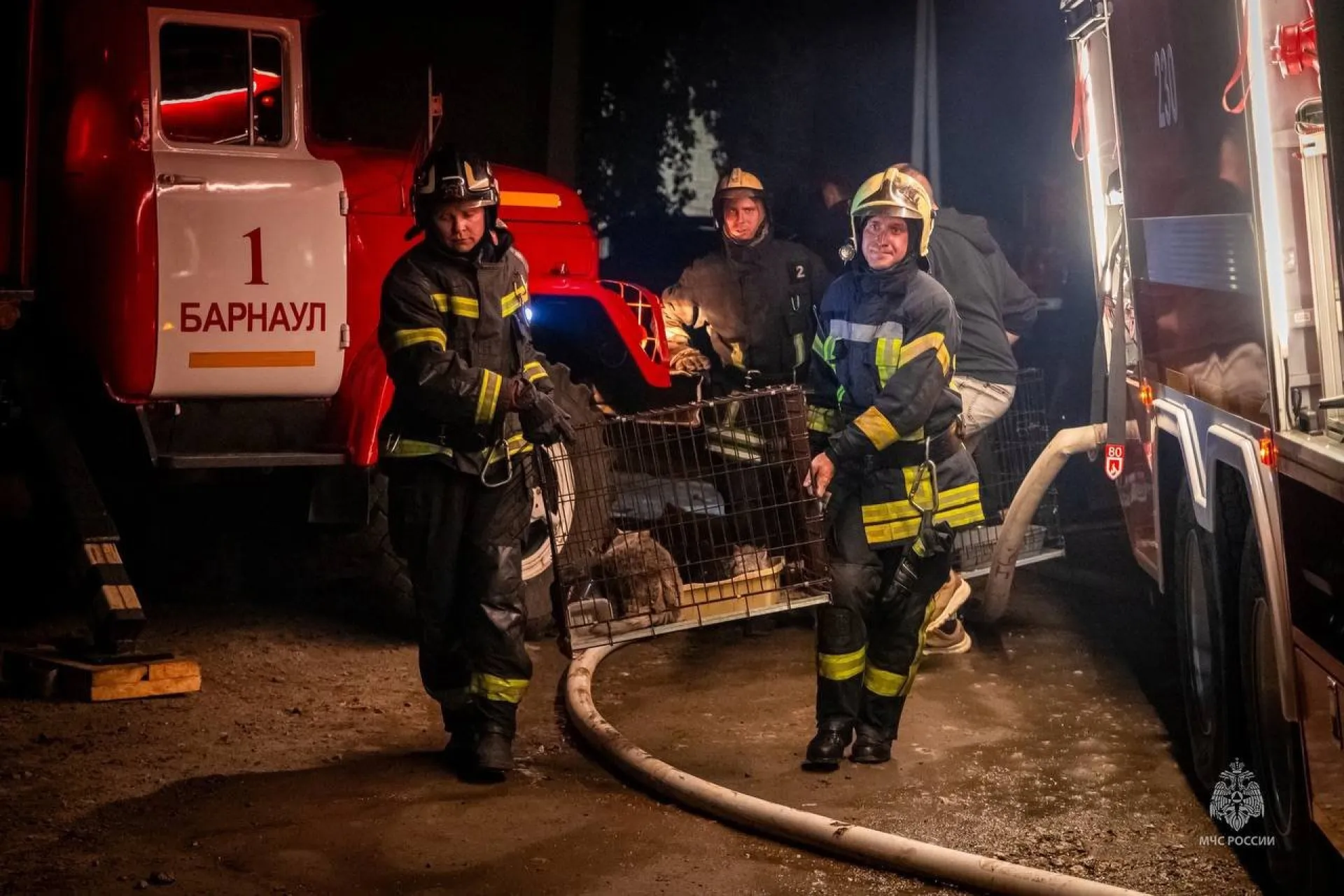 Власти взяли на контроль восстановление приюта «Бусинка» в Барнауле