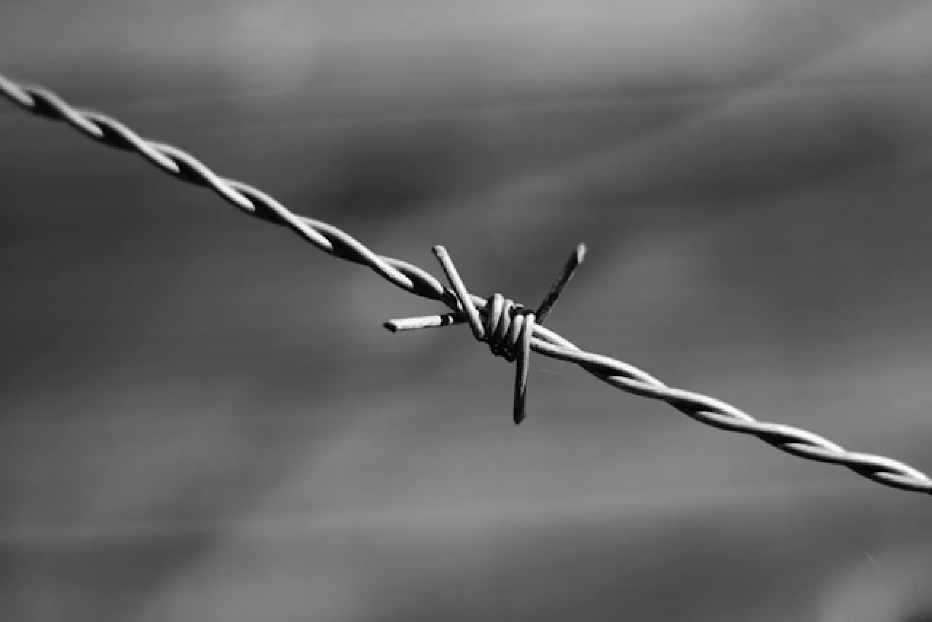 Житель Алтайского края отправится в колонию за призывы к терроризму Житель Алтайского края отправится в колонию за призывы к терроризму